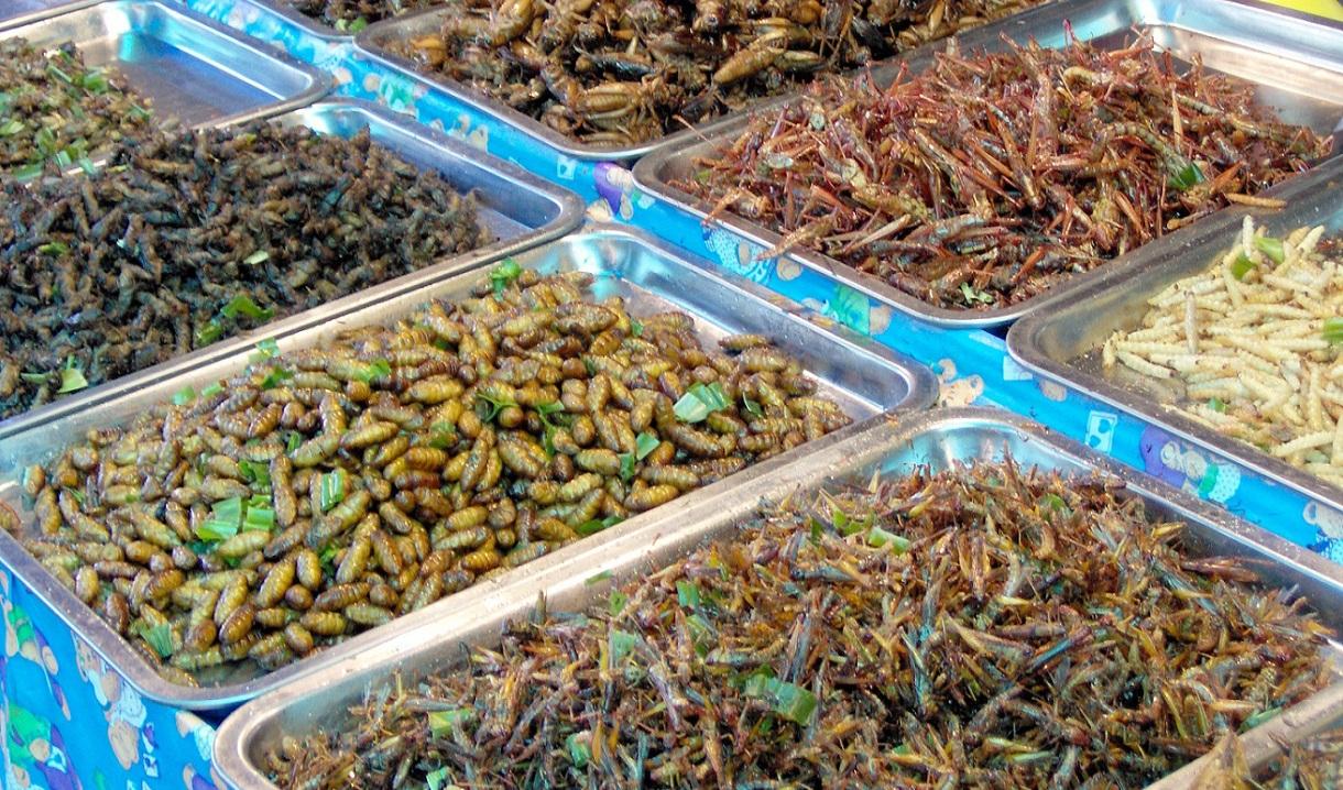 Ungers lantbruksminister meddelade att matvaror som innehåller insekter måste märkas, i enlighet med en ny lag som trädde i kraft den 24 mars. Foto: Milei.vencel (CC BY-SA 3.0)