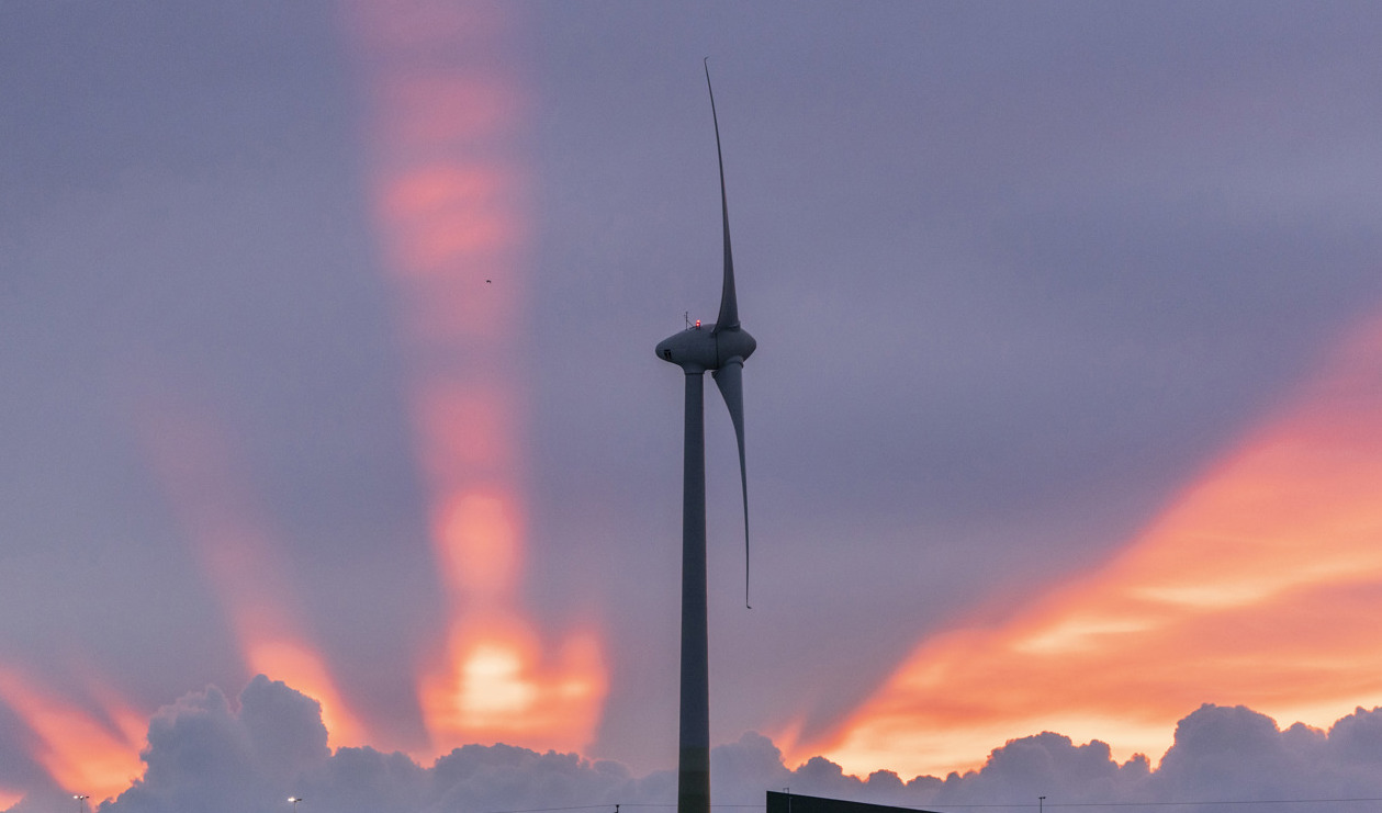 Arkivbild från Skåne. Foto: Johan Nilsson/TT