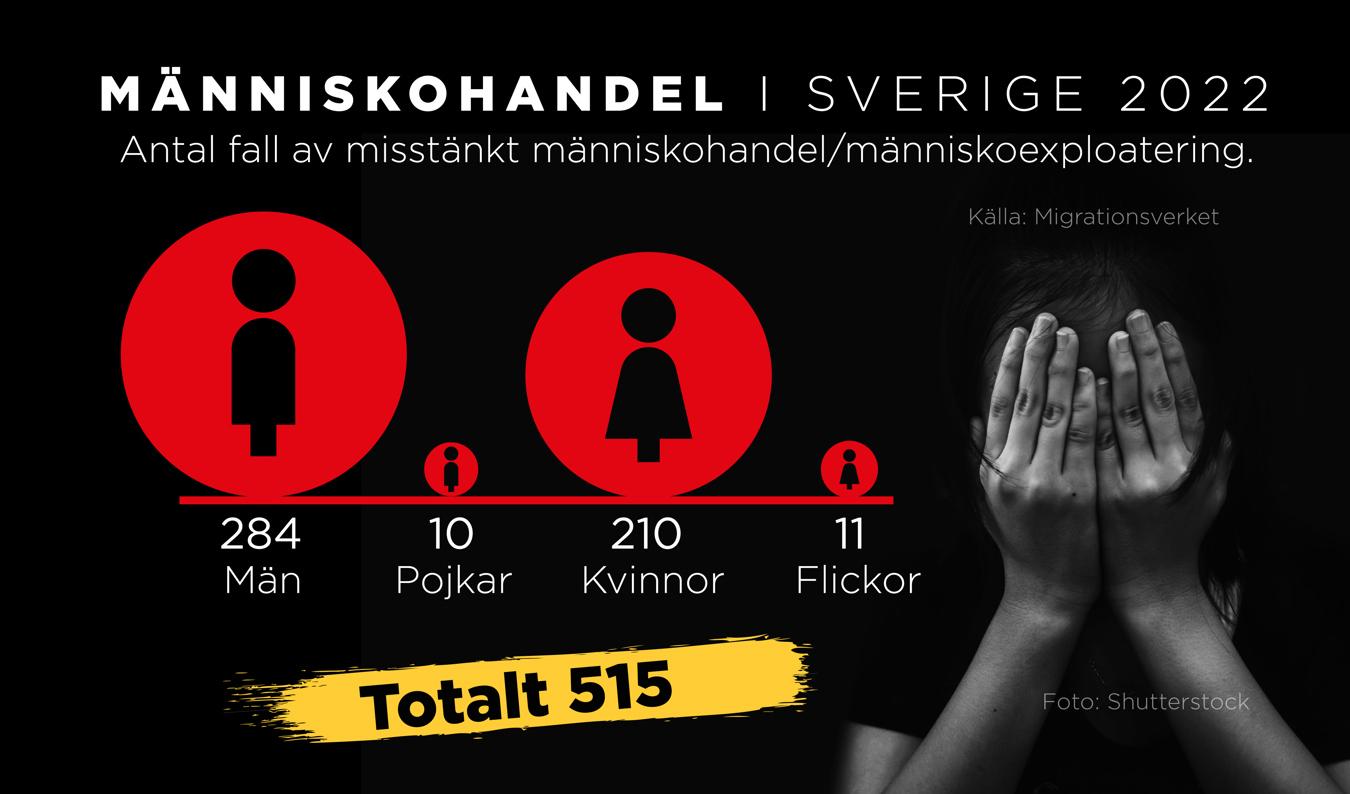 Tvångsarbete är den vanligaste formen av människohandel. Foto: Anna-Lena Lindqvist/TT