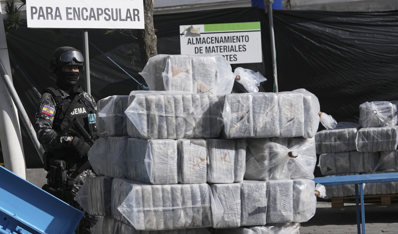 Delar av det stora fynd av kokain som gjordes i Ecuador i februari. Arkivbild. Foto: Dolores Ochoa/AP/TT