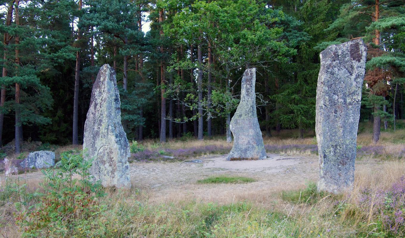 I skogarna utanför Ronneby hittar vi Björketorpsstenen med sin gåtfulla ristning med önskan om evig gravfrid. Foto: Emil Almberg