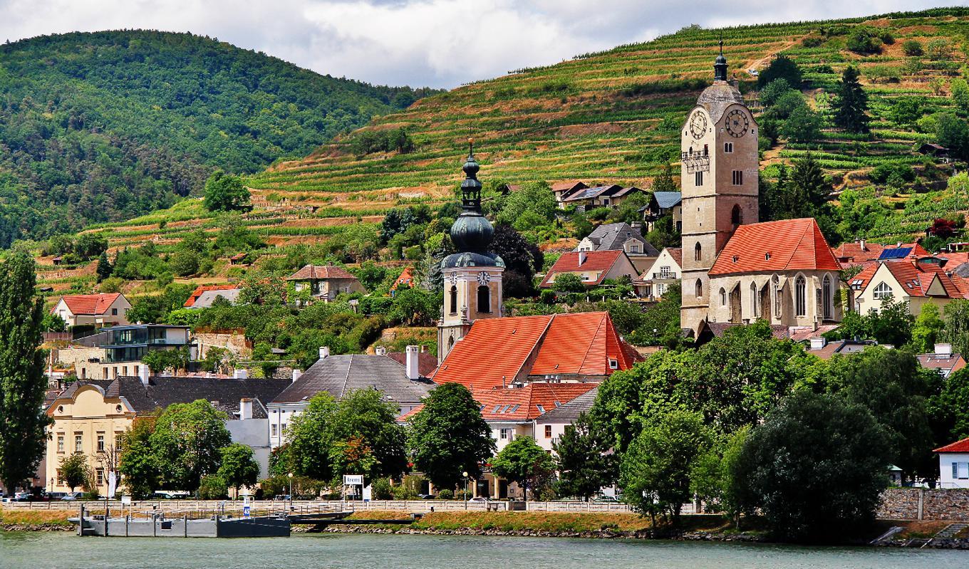 Vingårdar längs floden Donau har funnits i flera århundraden och har ofta anlagts av munkar. Foto: Shutterstock