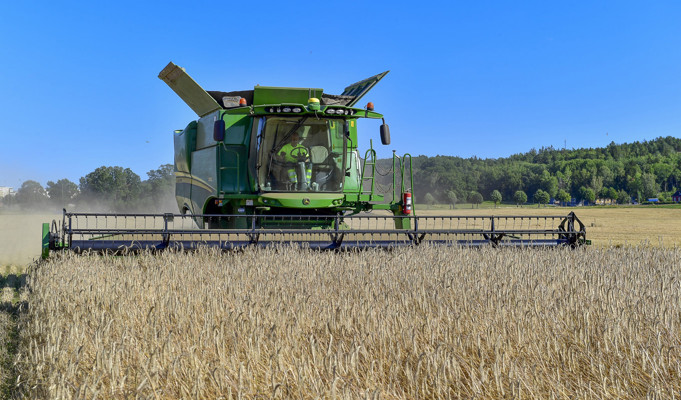 Livsmedelspriserna i världen sjönk i mars för tolfte månaden i rad, bland annat på grund av lägre priser på spannmål. Arkivbild. Foto: Jonas Ekströmer/TT