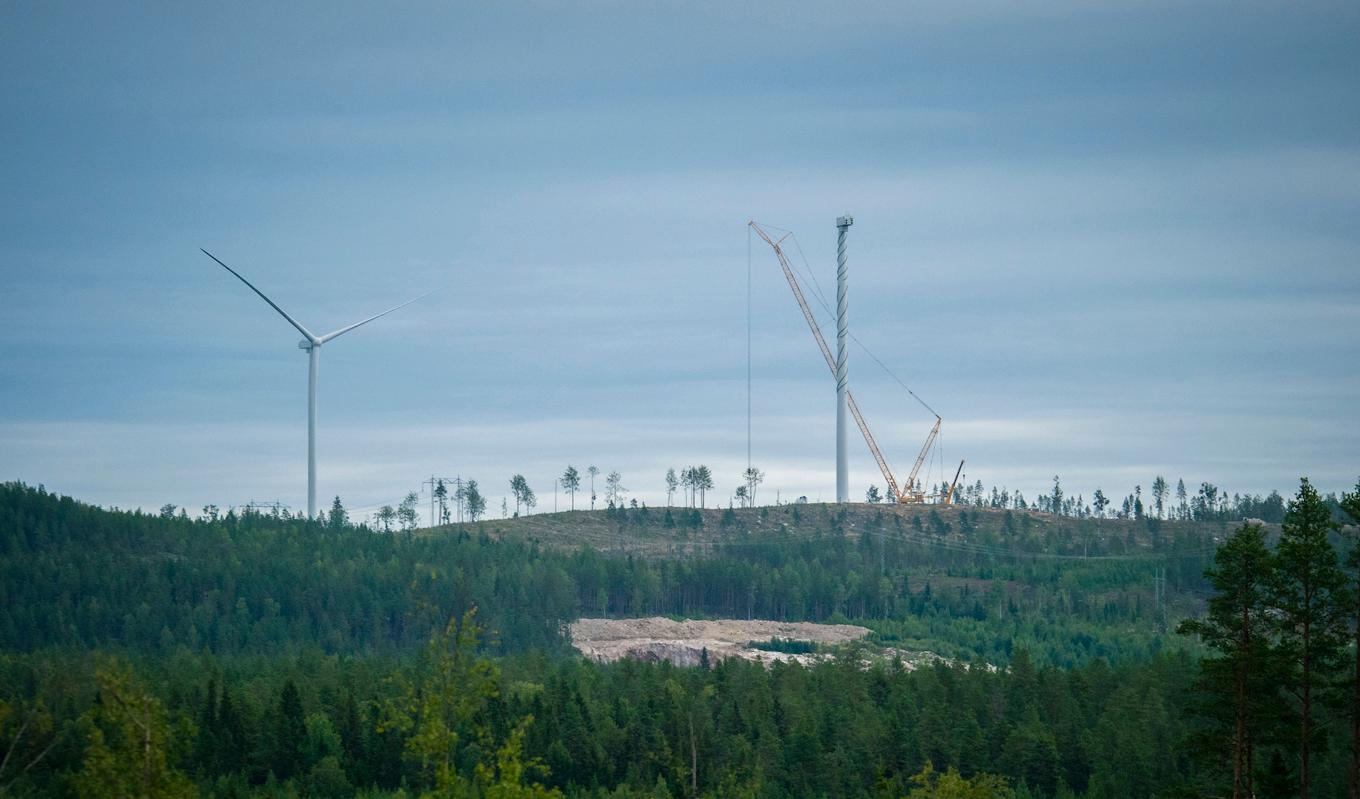 Björnberget vindpark i Medelpad har utvecklats av RES Renewable Norden och kommer bestå av 60 turbiner med den största rotordiameter som finns på marknaden. Foto: Bilbo Lantto