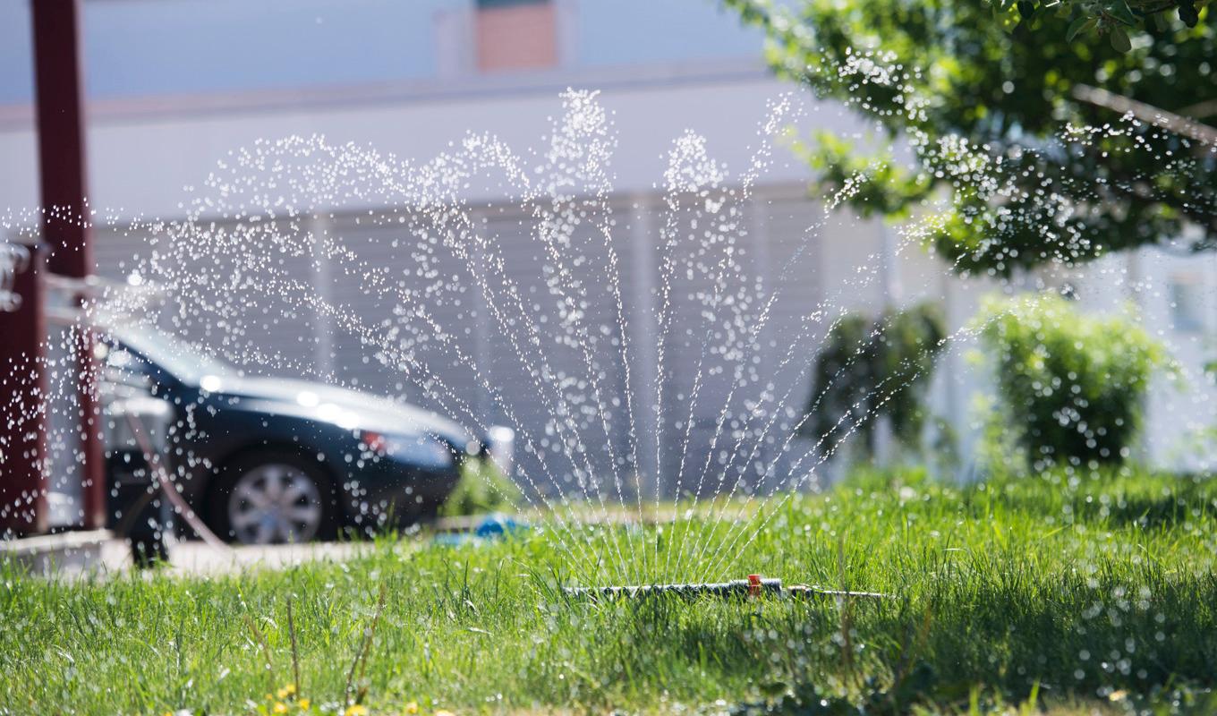 Läge att köra igång vattenspridaren i sommar? Även om grundvattennivåerna ser bra ut på de flesta håll kan det vara läge att hålla igen. Arkivbild. Foto: Fredrik Sandberg/TT