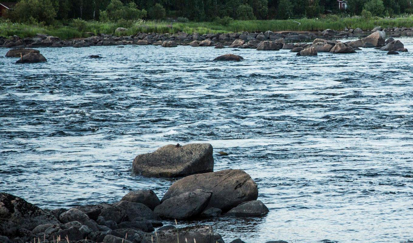 SMHI varnar för höga flöden i Torneälven. Arkivbild. Foto: Helena Landstedt/TT