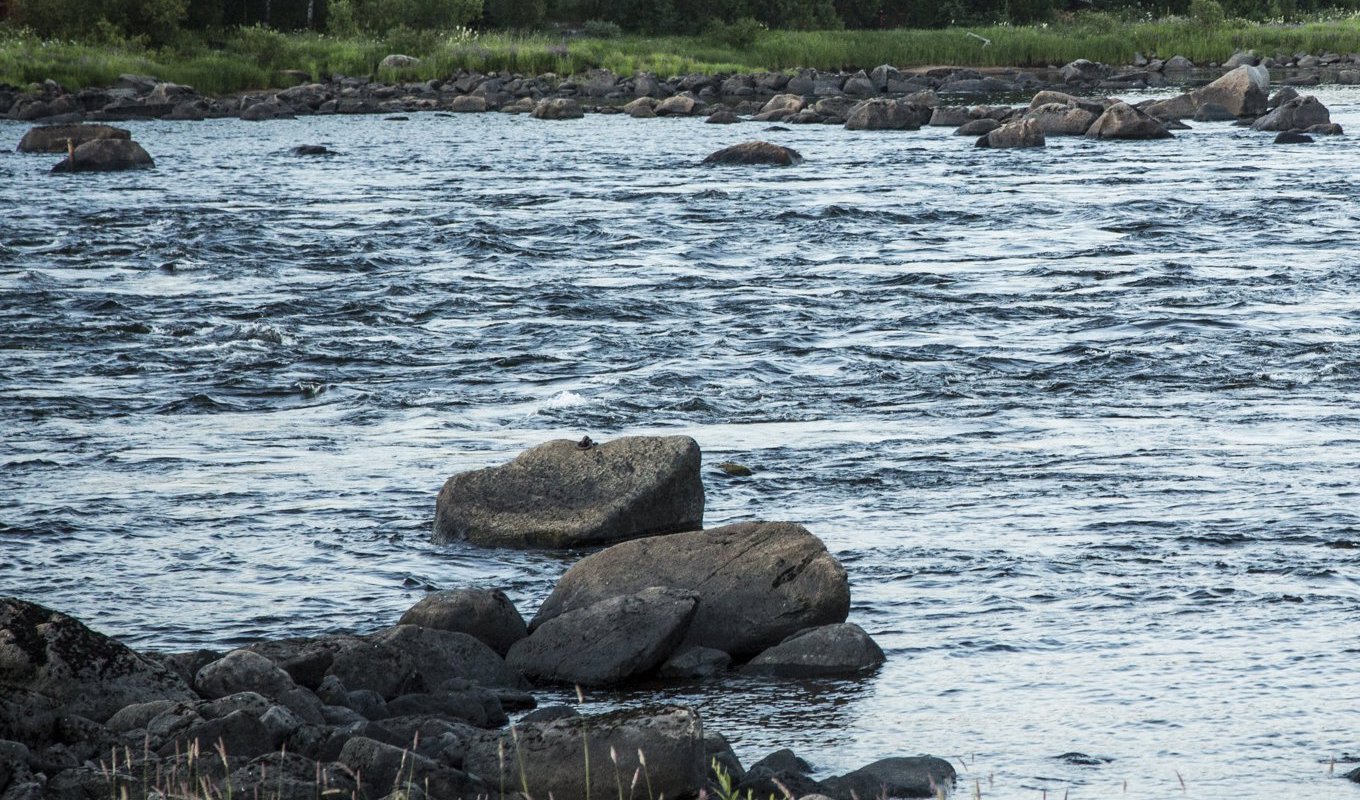 SMHI har nedgraderat den röda varningen för höga flöden i nedre Torneälven till orange. Foto: Helena Landstedt/TT