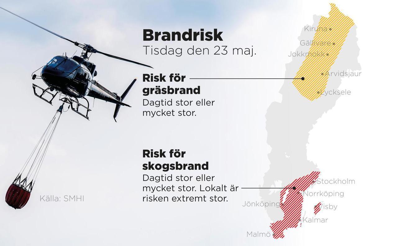 Risk för skogs- och gräsbränder i stora delar av Sverige. Foto: Johan Hallnäs/TT