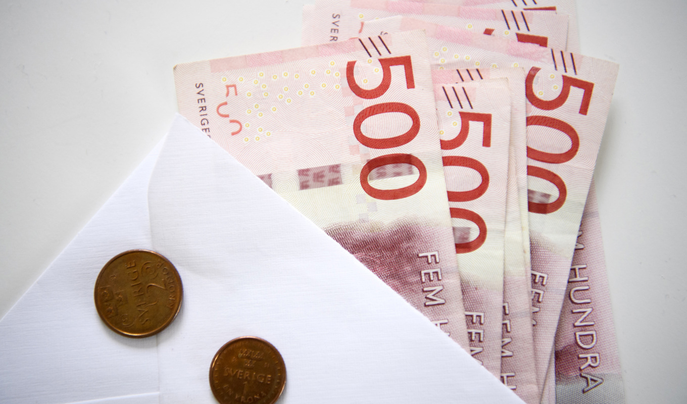 Regeringen har tillsatt en utredning. Arkivbild. Foto: Henrik Montgomery/TT