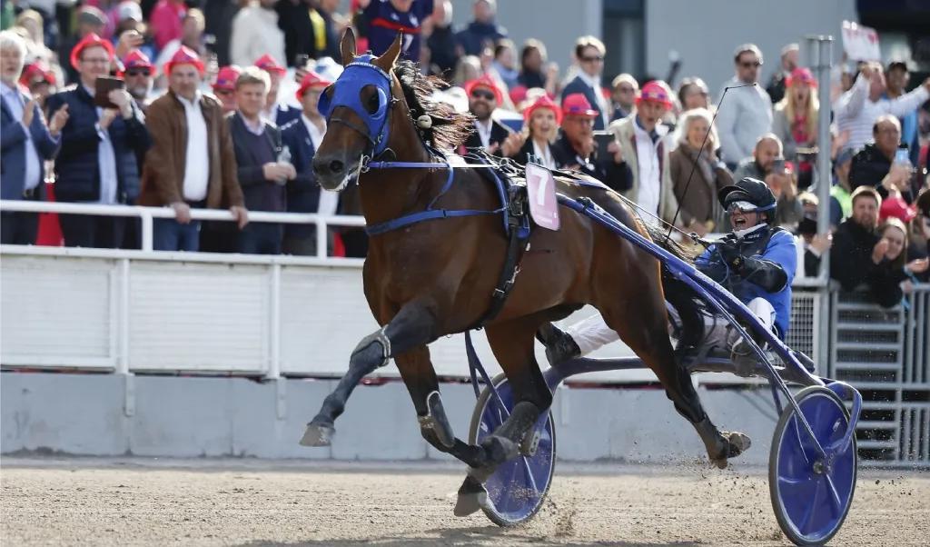 Publikintresset för storloppen är fortsatt högt. Den franska hästen Etonnant med kusken Anthony Barrier, vinner Elitloppet 2022 på Solvalla Travbana.FOTO: TT/Nyhetsbyrån