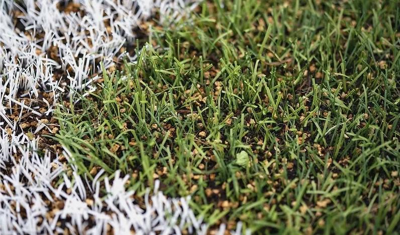 Gummigranulat ska bort men vad som kommer i stället är oklart. Kokos och kork som provats i bland annat Svedala blir isigt vid minusgrader.Foto: Johan Nilsson/TT