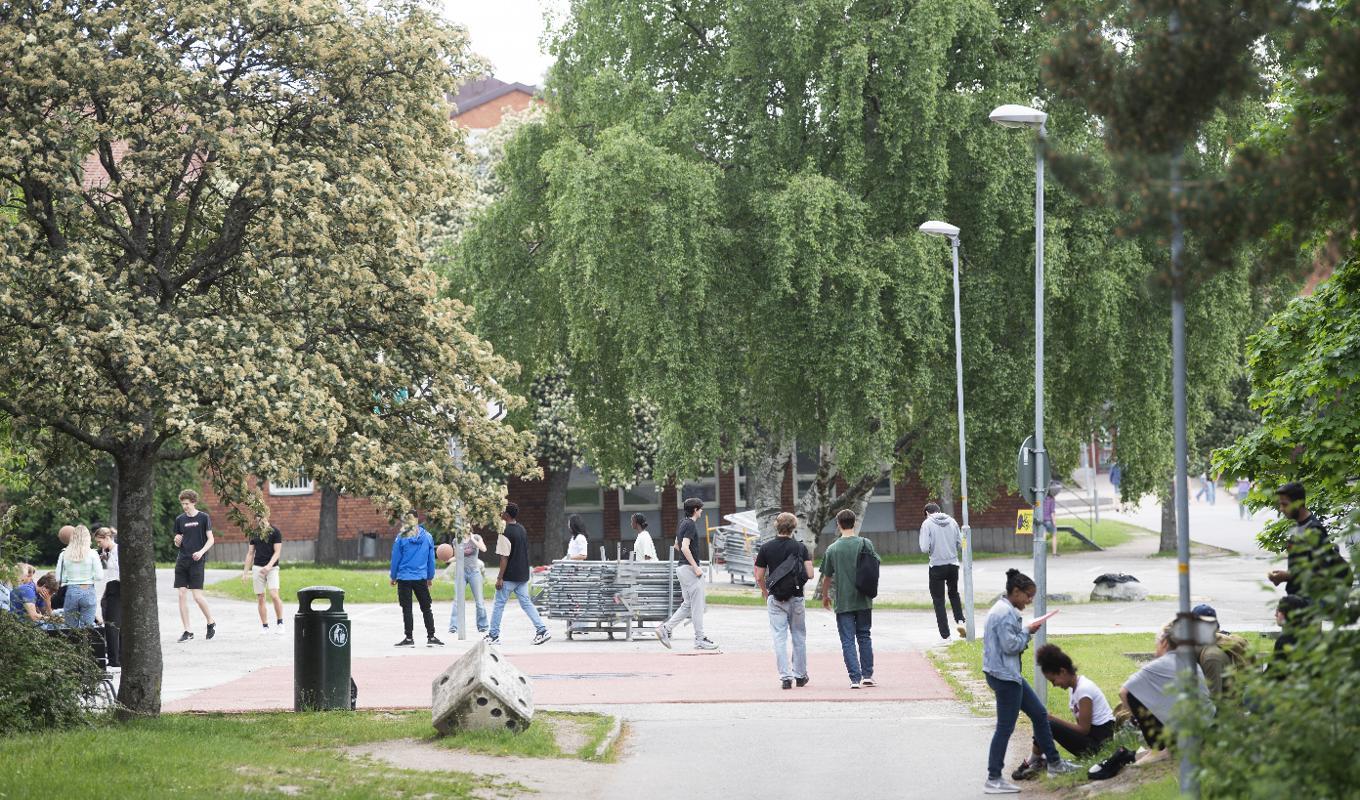 Svensk skola blir alltmer segregerad trots stora insatser och investeringar för att motverka trenden. Foto: Fredrik Sandberg/TT