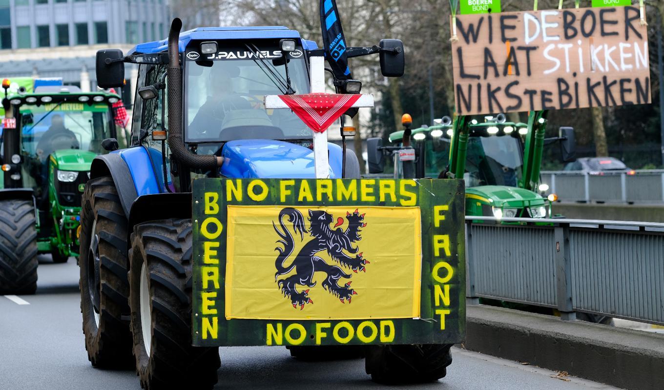 Bönder från Belgiens norra region Flandern protesterade mot nya regionala regeringsplaner att begränsa kväveutsläppen den 3 mars. Foto: Alexandros Michailidis