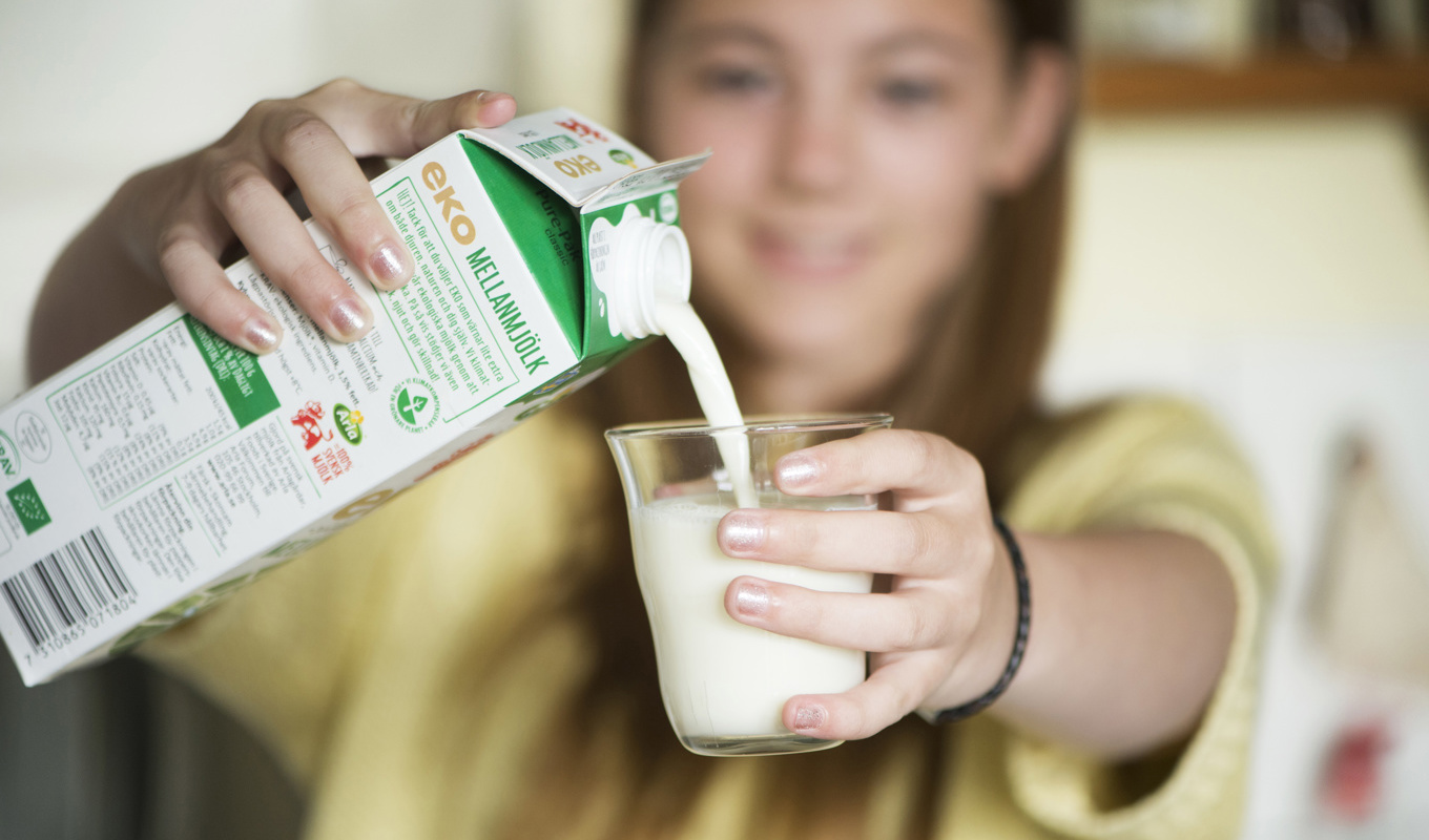 Mejeriprodukter blir billigare i Danmark. Arkivbild. Foto: Fredrik Sandberg/TT