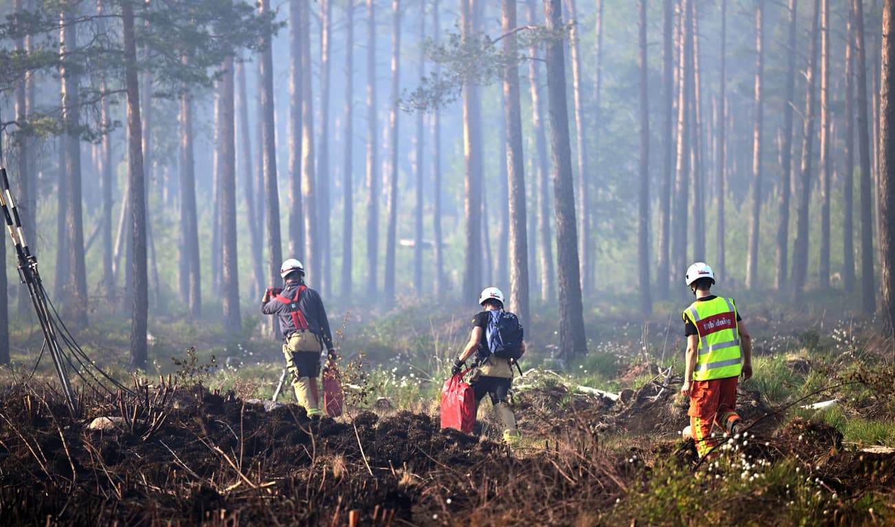 Brandrisken är stor just nu. På Nationaldagen rasade en skogsbrand fem kilometer söder om Alvesta. Arkivbild. Foto: Fredrik Sandberg/TT