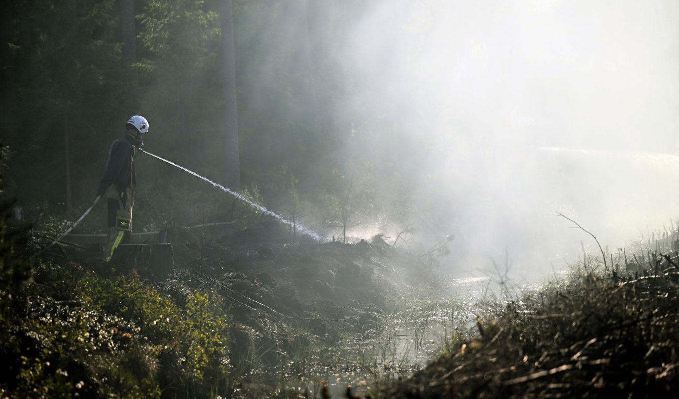 En skogsbrand utanför Alvesta tidigare i juni. Arkivbild. Foto: Fredrik Sandberg/TT