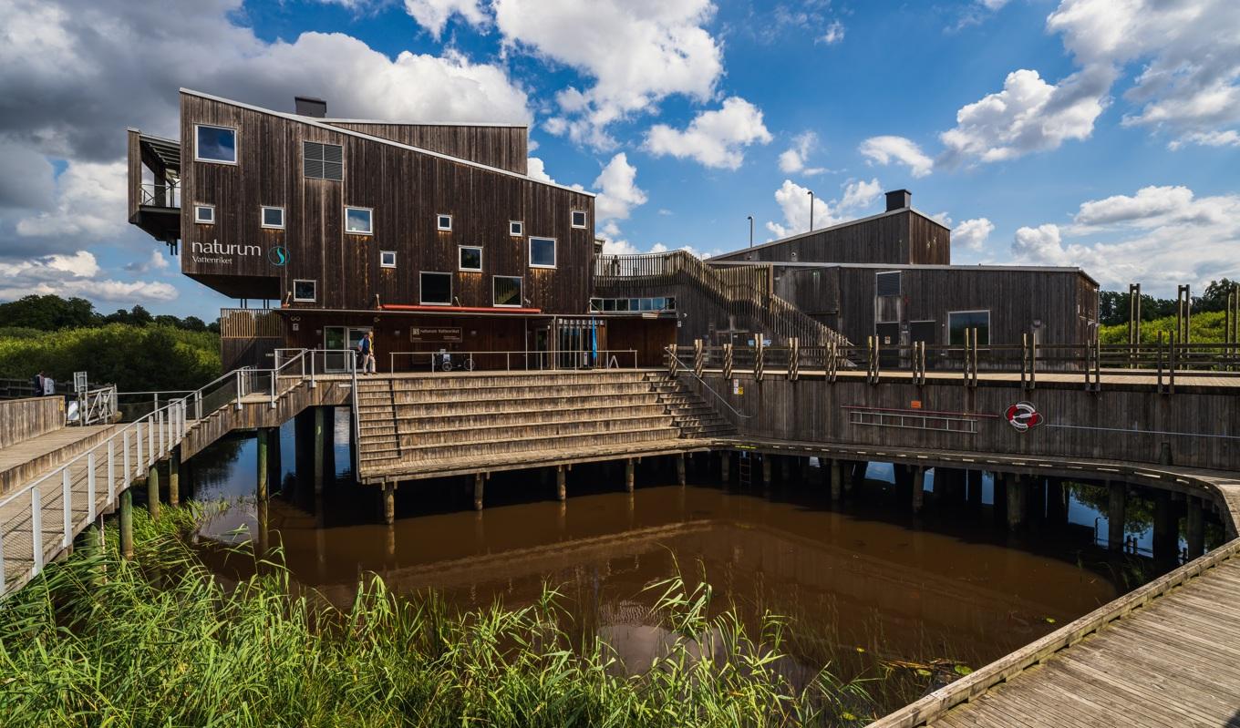 Naturum Vattenriket i Kristianstad är byggt på pålar och smälter på ett bra sätt in i den omgivande naturen. Foto: Shutterstock.