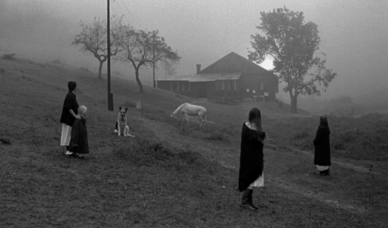 Nostalghia är Tarkovskijs sjätte film. Det är hans enda film på italienska. Det ryska stödet för filmen drogs in. Foto: Andrej Tarkovskij och Giuseppe Lanci