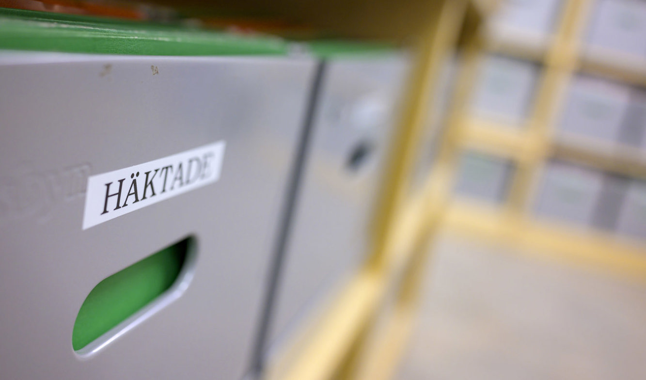 Den 16-årige pojke som erkänt mordet på köpcentret Emporia i Malmö har suttit häktad över tio månader. Arkivbild. Foto: Johan Nilsson/TT