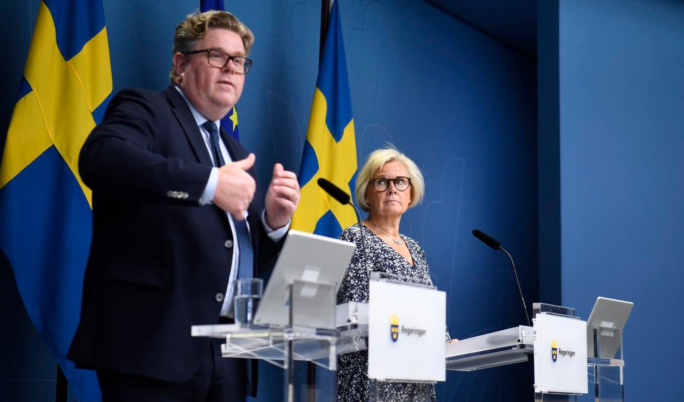 Örtexperten Alexandra De Paoli: Barr håller dig varm i vinter