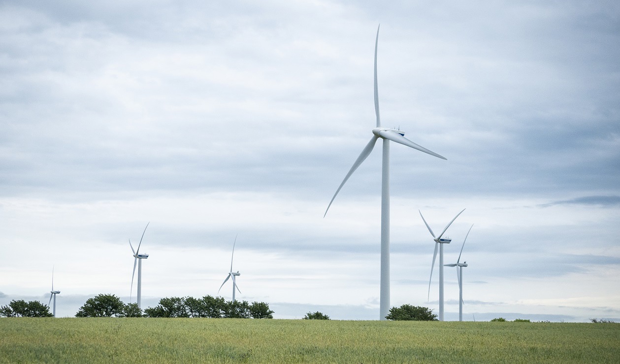 Vindkraftverk i Näsudden på Gotland. Foto: Bilbo Lantto