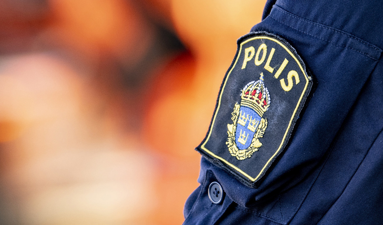 Polisförbundet anser inte att en kriminell bror är tillräckliga skäl för att säga upp en polis. Arkivbild. Foto: Johan Nilsson/TT