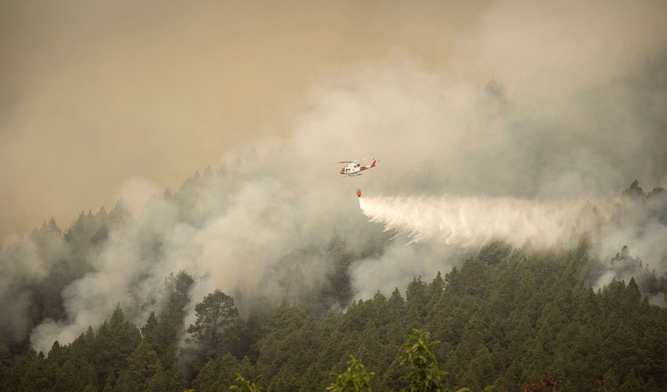 Ett flygplan vattenbombar branden på norra Teneriffa. Foto: Arturo Rodriguez/AP/TT