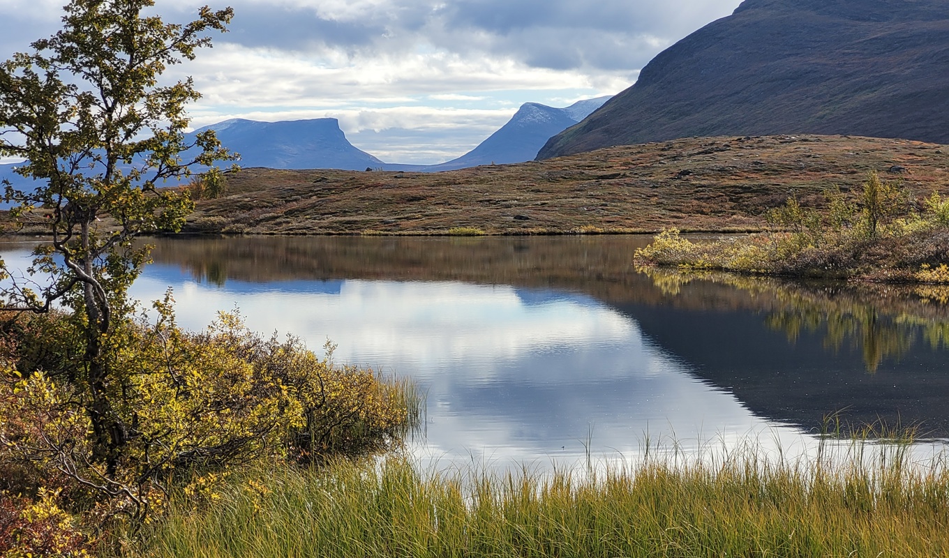 Abisko nationalpark med Lapporten, ett särpräglat minne från istiden i bakgrunden, lockar utländska besökare till den svenska fjällvärlden sommartid. Foto: Torbjörn Messner