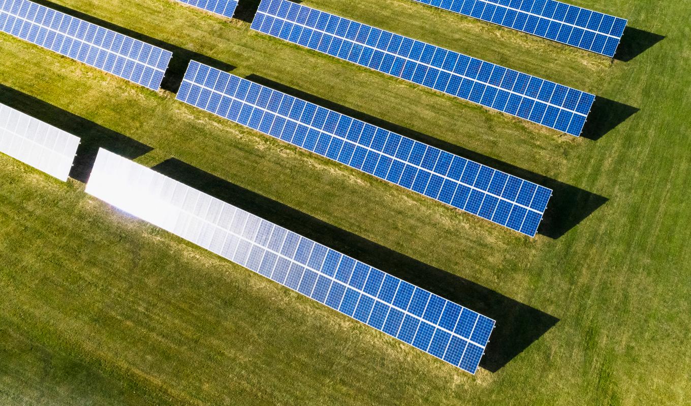 I ett skånskt projekt som delvis finansieras av EU vill man ta reda på hur livsmedelsproduktion och solcellspaneler på marken ska kunna kombineras. Foto: Region Skåne/Hans Berggren/Johnér bildbyrå