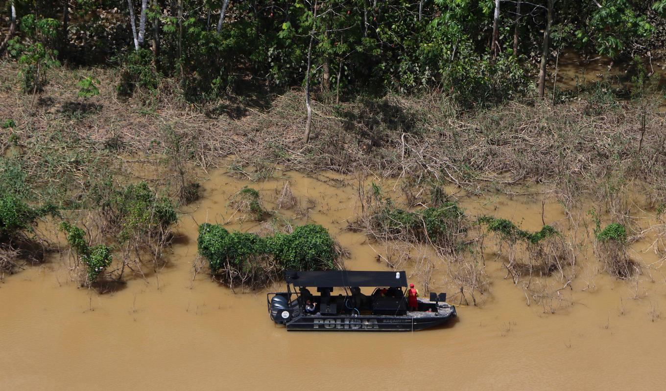 Våld, tortyr och hot följer avskogningen i Amazonas, som är en av de farligaste platserna i världen för miljöaktivister. Arkivbild. Foto: Edmar Barros/AP/TT