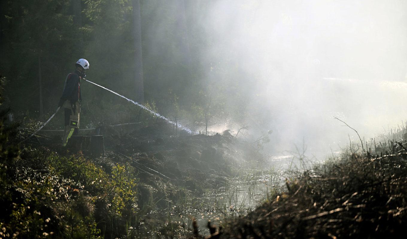 Skarpare rutiner och ökad kunskap har bidragit till att landet blivit bättre på att bekämpa skogsbränder. Arkivbild. Foto: Fredrik Sandberg/TT