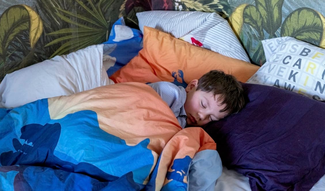 Forskning om vad som styr växlingen mellan sömnen och det vakna tillståndet är en är en av kandidaterna till årets Nobelpris i fysiologi eller medicin. Arkivbild. Foto: Henrik Holmberg/TT