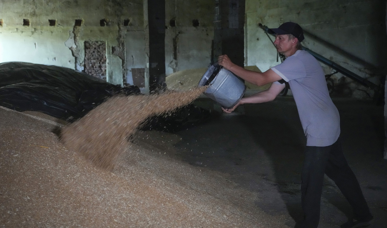 En bonde visar delar av sin skörd i byn Ptyche i Donetsk i östra Ukraina. Donetsk är ockuperat av Ryssland, som i fjol inledde ett anfallskrig mot Ukraina. Arkivbild. Foto: Efrem Lukatsky/AP/TT