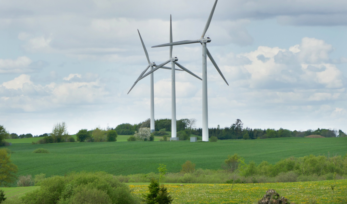 Vindturbiner nära Billund på Jylland. Arkivbild. Foto: Erik Johansen/NTB/TT