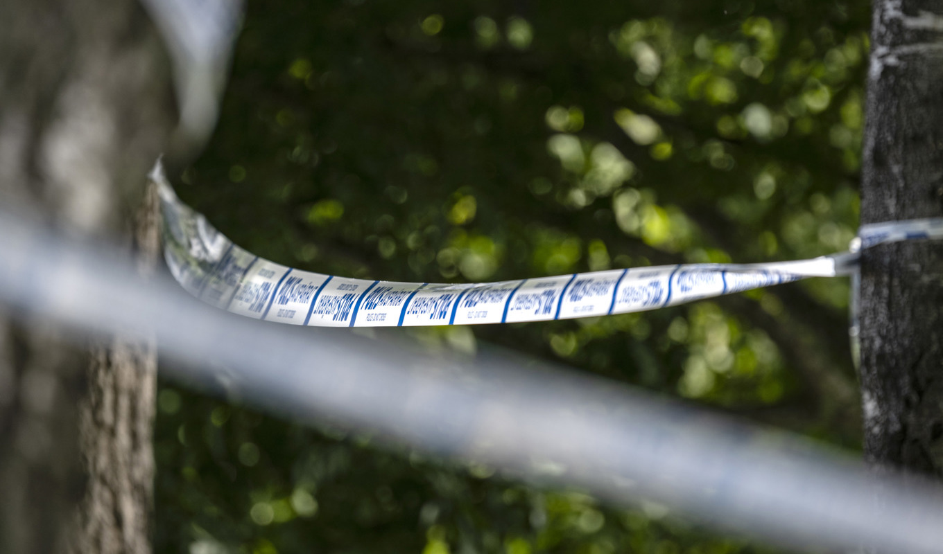 En svampplockare slog larm till polisen om kvarlevor i skogen, som visade sig vara skelettdelar från en människa. Arkivbild. Foto: Johan Nilsson/TT