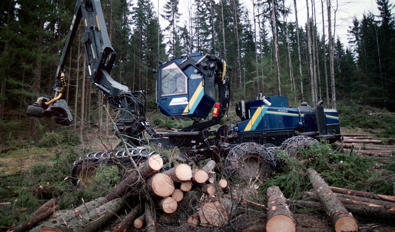 Arkeologer i Norrbotten upprörs över att fem gravar från tidigare stenåldern blivit kraftigt förstörda av skogsbruksmaskiner. Arkivbild. Foto: Fredrik Persson/TT