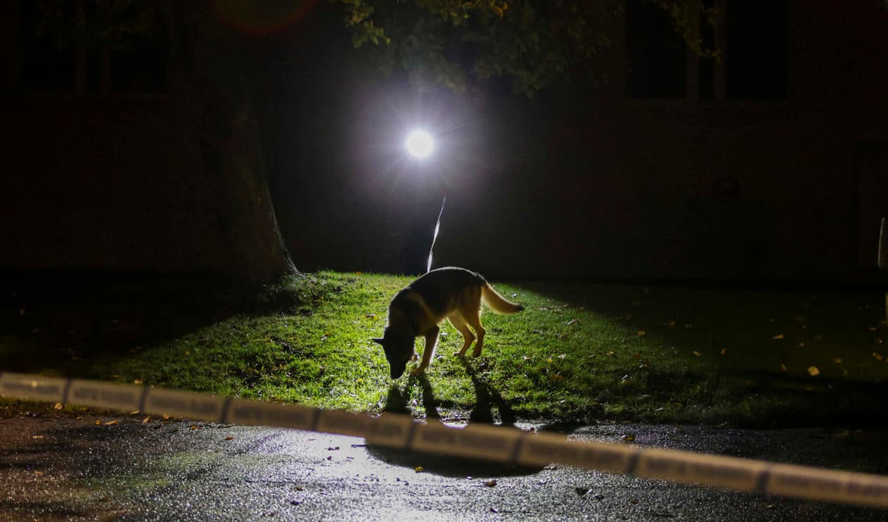 Polisen larmades under fredagskvällen till Navestad i Norrköping. Foto: Magnus Andersson/TT