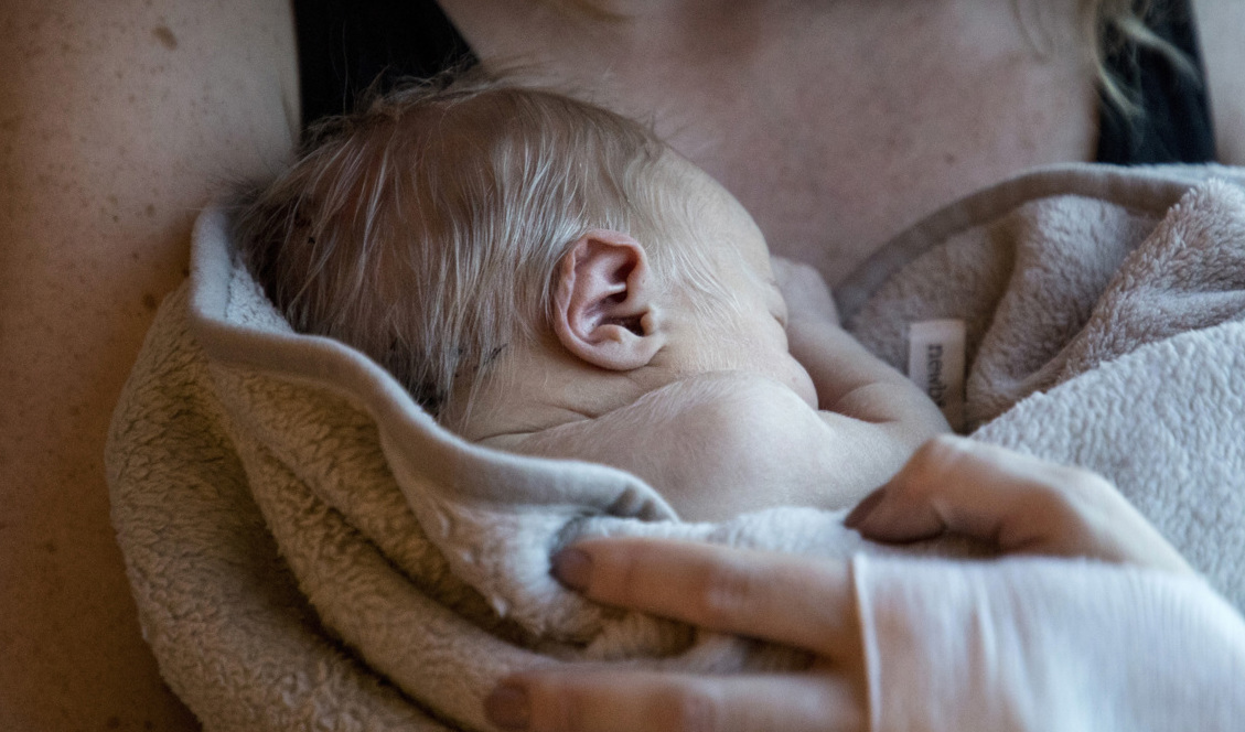Navelsträngen behöver inte klippas snabbt. I alla fall inte innan två minuter. Arkivbild. Foto: Christine Olsson/TT