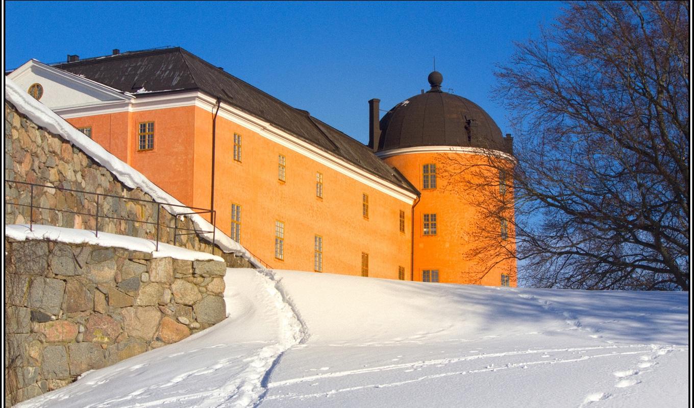 En inspelning av konserten ”500 år av kunglig musik” har gjorts tillgänglig att ses på nätet. Konserten gavs på Uppsala slott, som här ses i vinterskrud. Foto: Public Domain