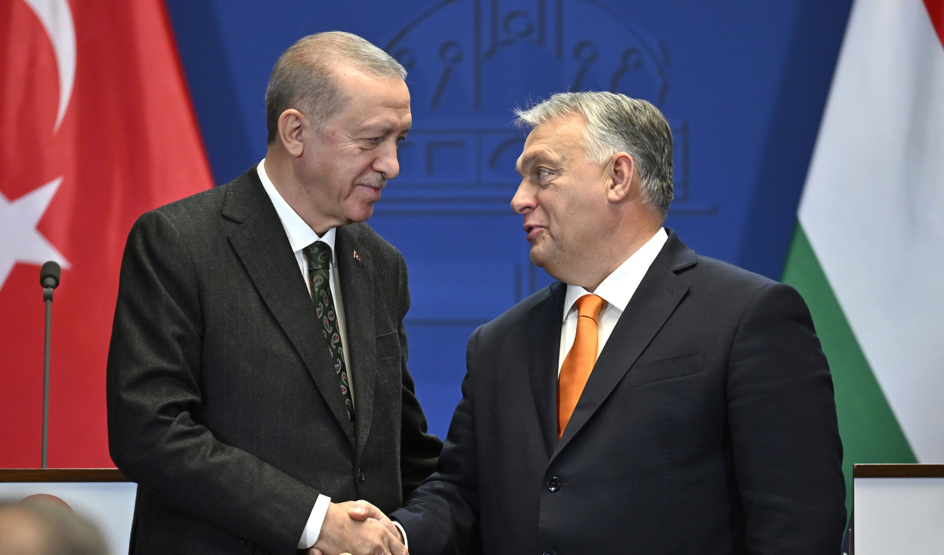 Turkiets president Recep Tayyip Erdogan och Ungerns premiärminister Viktor Orbán. Turkiet och Ungern är de enda länderna som ännu inte godkänt den svenska Natoansökan. Arkivbild. Foto: Denes Erdos/AP/TT