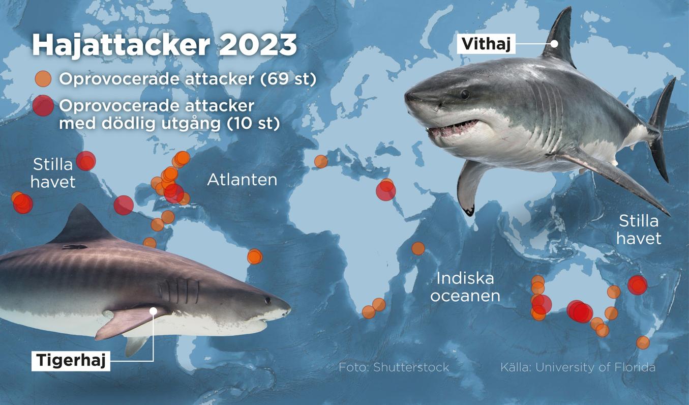 Kartan visar var oprovocerade hajattacker ägde rum under 2023. Foto: Anders Humlebo/TT