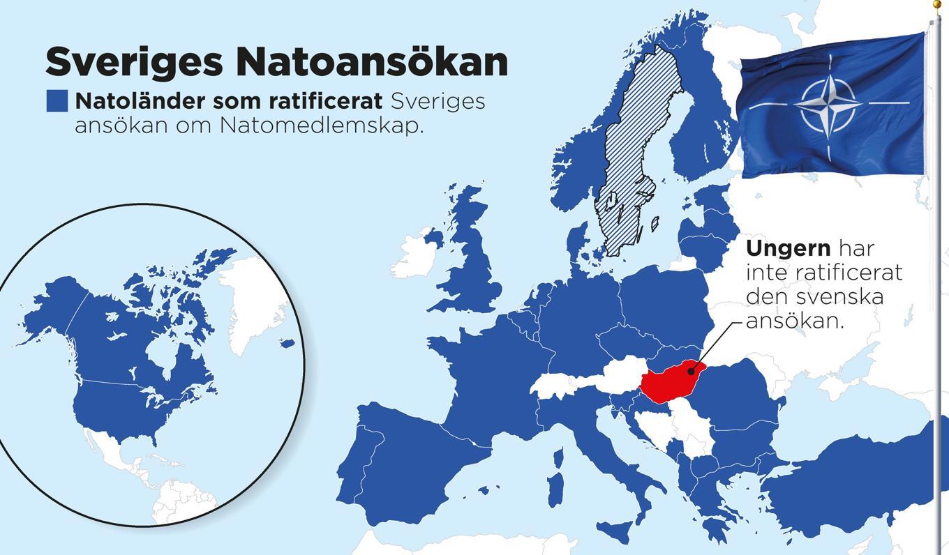 Natoländer som ratificerat Sveriges ansökan om Natomedlemskap. Foto: Anders Humlebo
