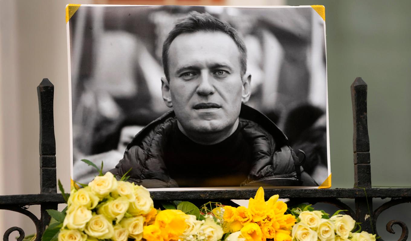 Blommor vid ett porträtt på den döde Aleksej Navalnyj utanför den ryska ambassaden i London, vid ett av många spontana minnesplatser för regimkritikern. Foto: Kirsty Wigglesworth/AP/TT