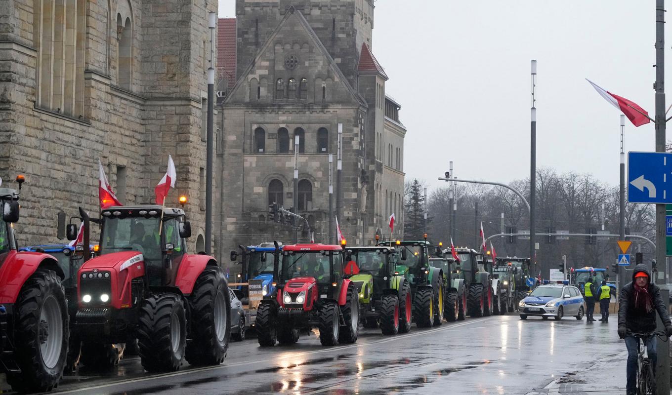 Polska bönder i protest mot EU:s jordbrukspolitik och importen av ukrainskt spannmål. Arkivbild. Foto: Czarek Sokolowski/AP/TT