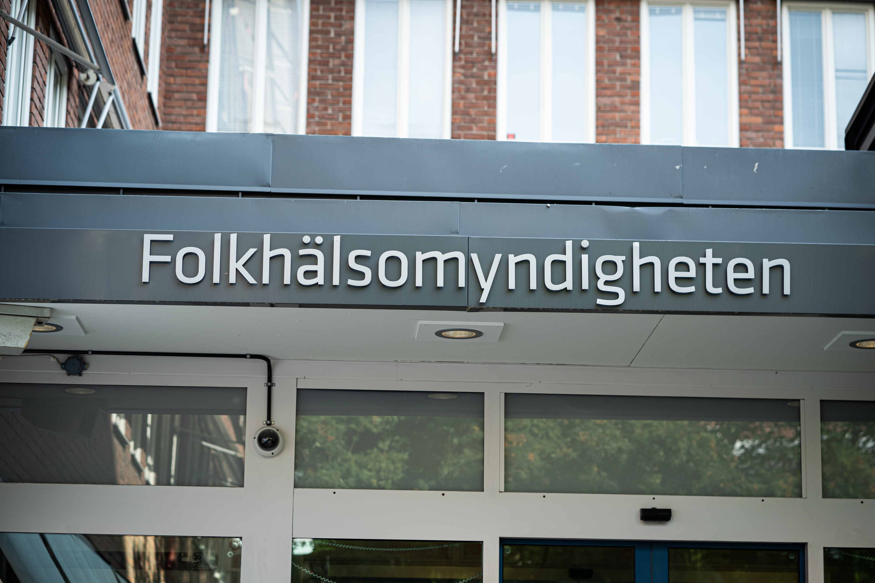 Under det gångna året ökade antalet fall av den fästingburna sjukdomen TBE i Sverige. Folkhälsomyndigheten konstaterar att det är den högsta siffran sedan det blev plikt på att anmäla TBE. Foto: Sofia Drevemo