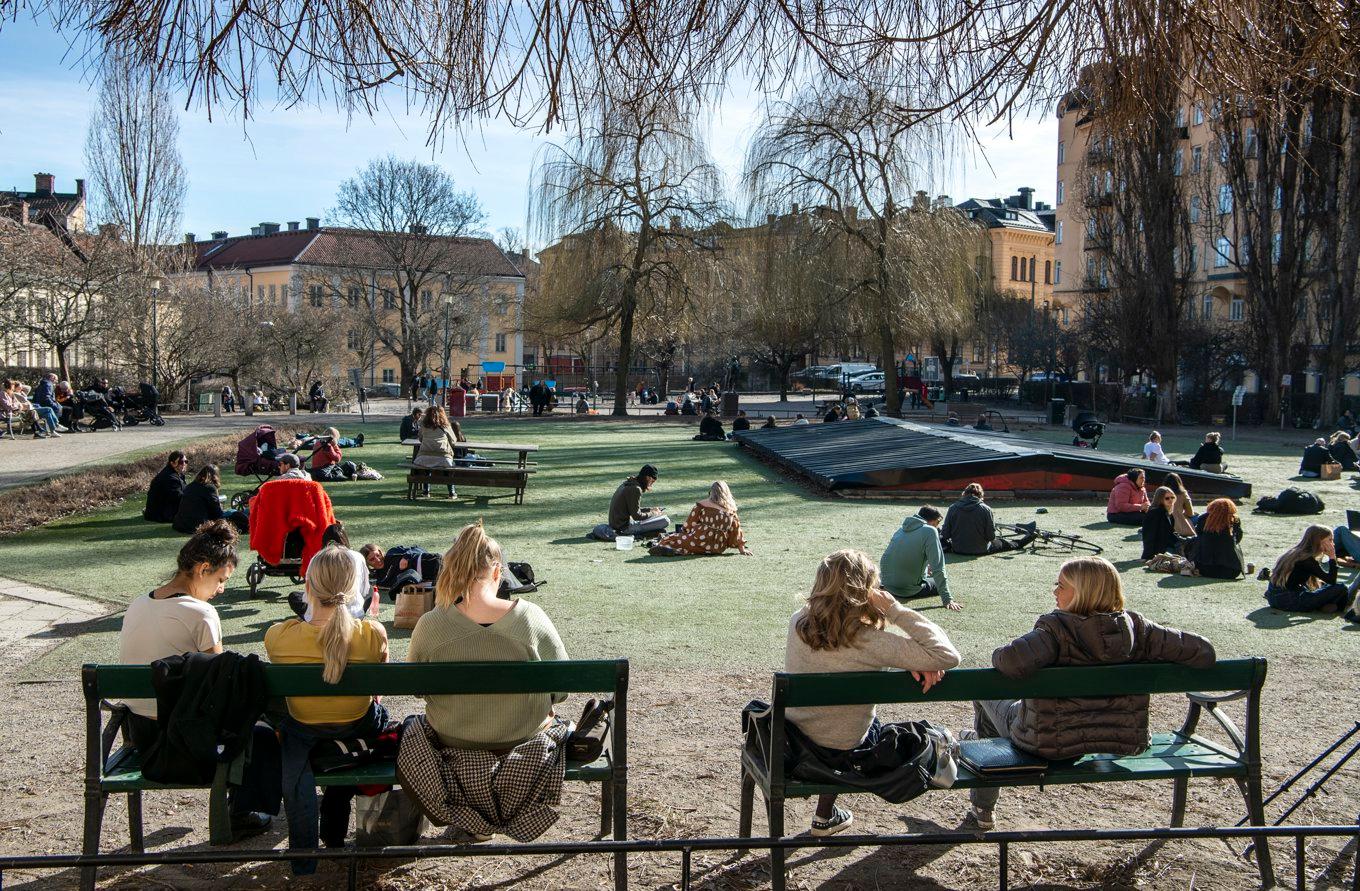 Nytorget på Södermalm i Stockholm. Arkivbild. Foto: Malin Hoelstad/TT