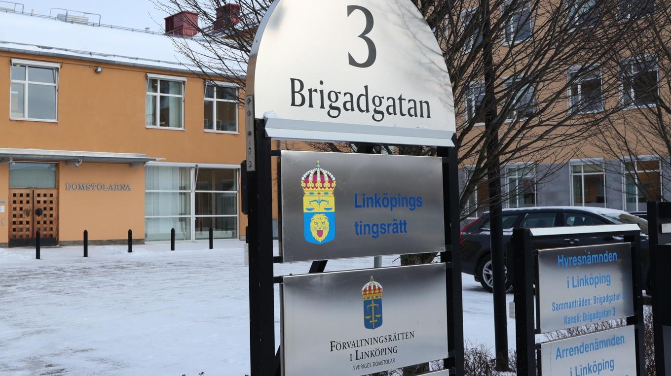 Linköpings tingsrätt har dömt en man som hotat en politiker med en död mus. Arkivbild. Foto: Jeppe Gustafsson/TT