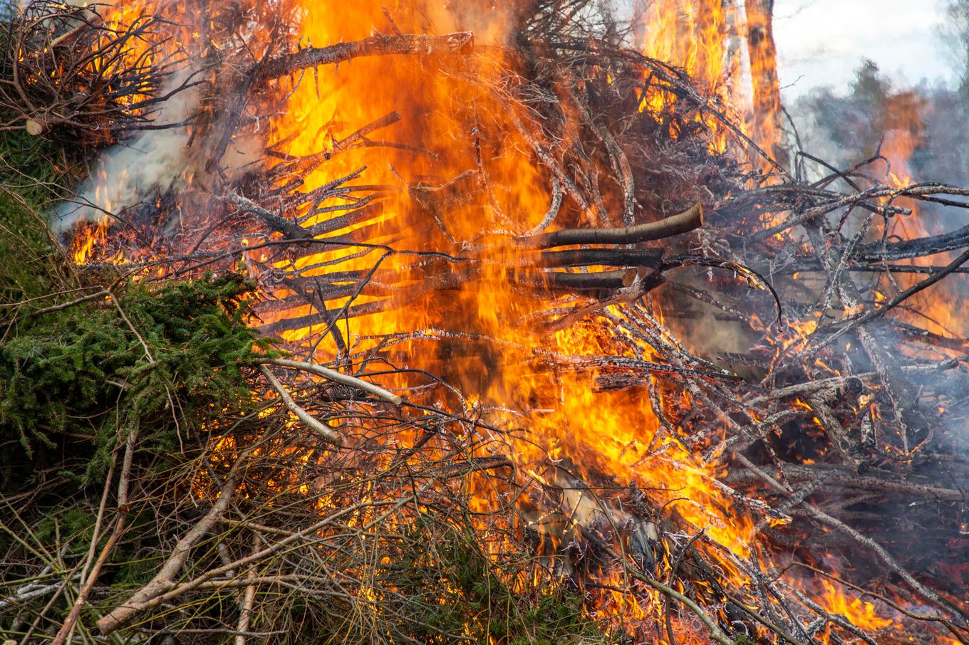 Att elda eller inte elda – det är kommunens fråga. Arkivbild. Foto: Martina Holmberg/TT