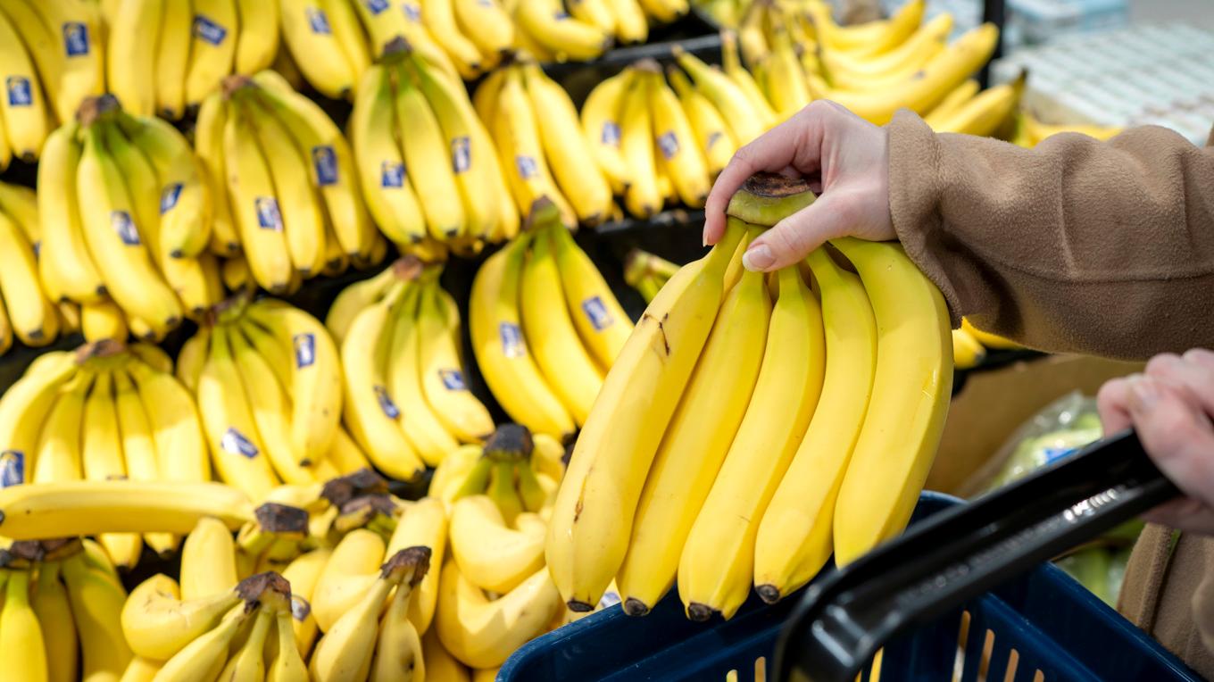 Stora mängder kokain har hittats bland bananer i flera Lidl-butiker i Tyskland. Arkivbild. Foto: Gorm Kallestad/NTB/TT