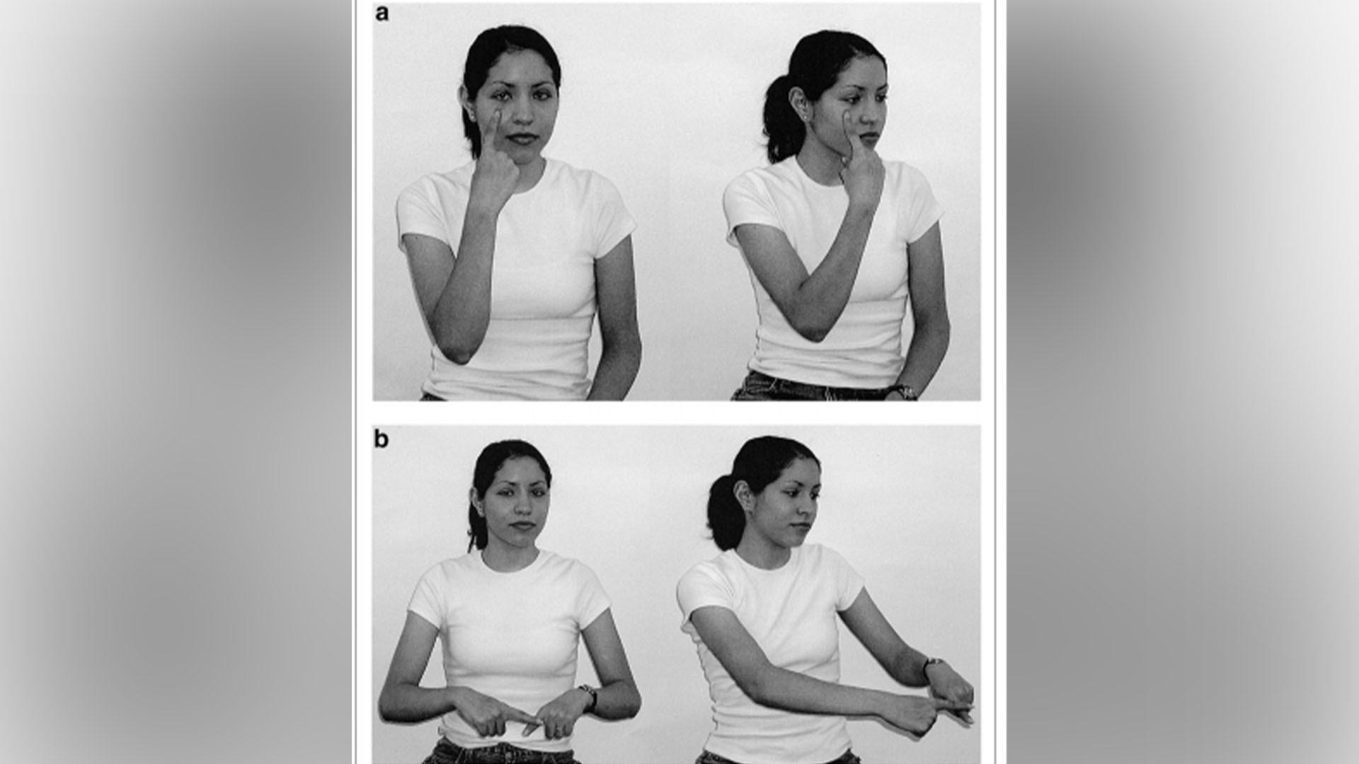 Verben ”se” och ”betala” på nicaraguanskt teckenspråk, i två olika verbformer var. Foto: Senghas, Ann. ”The Emergence of Two Functions for Spatial Devices in Nicaraguan Sign Language.” Karger.com. Karger, 2010.
Licens cc-by-sa 3.0